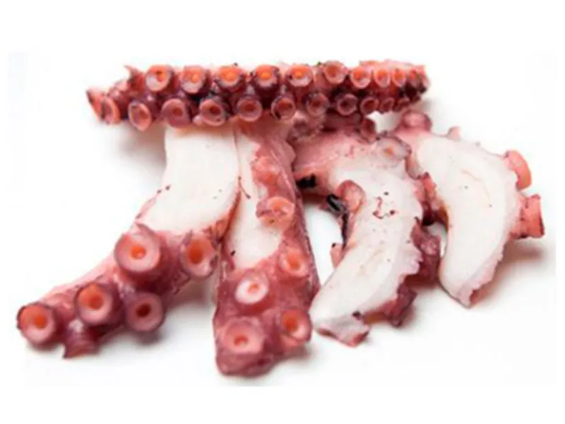 Pulpo